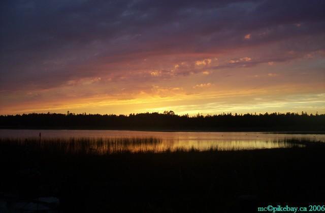 ../Images/marg6.JPG