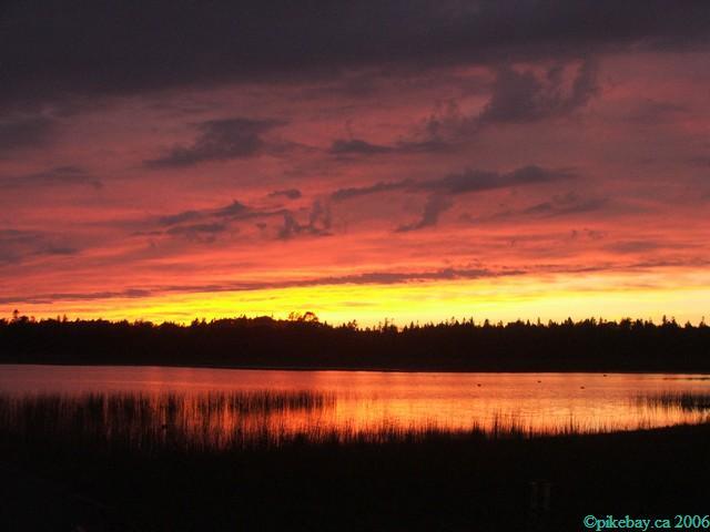 ../Images/postcard.jpg